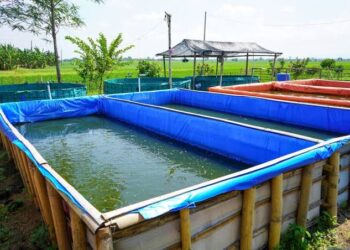 DPRD Pati Dorong Pemkab Serius Kembangkan Perikanan Budidaya