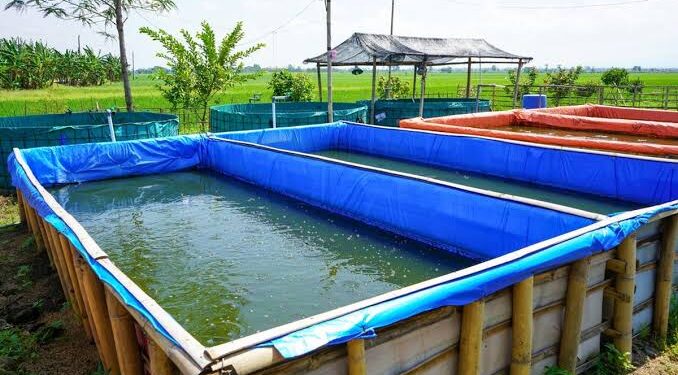 DPRD Pati Dorong Pemkab Serius Kembangkan Perikanan Budidaya