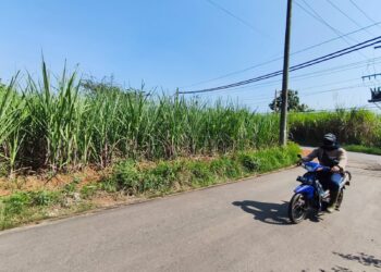DPRD Pati Apresiasi PG Trangkil Dukung Produktivitas Petani Tebu