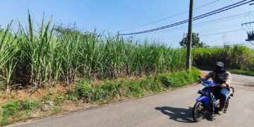 DPRD Pati Apresiasi PG Trangkil Dukung Produktivitas Petani Tebu