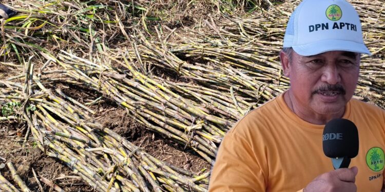 Dukung Swasembada Gula, Komisi B DPRD Pati Dorong Inovasi Benih PG Trangkil