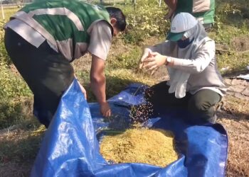 Perkuat Sektor Pertanian Tulang Punggung Ekonomi, DPRD Pati Desak Pemerintah Tingkatkan Dukungan dan Anggaran