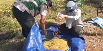 Perkuat Sektor Pertanian Tulang Punggung Ekonomi, DPRD Pati Desak Pemerintah Tingkatkan Dukungan dan Anggaran